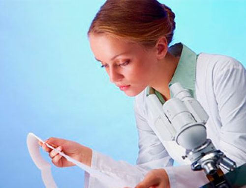 BLOG DE NOTÍCIAS – 1